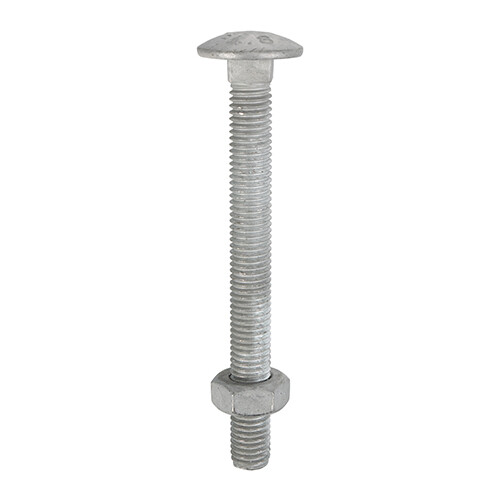 Timco carriage bolts - bolts, &