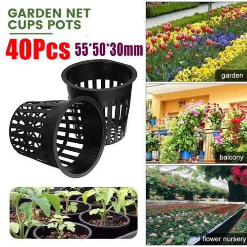 40pcs hydro plant grow - 40pcs, net