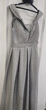 Elegant Silver Shimmer Evening