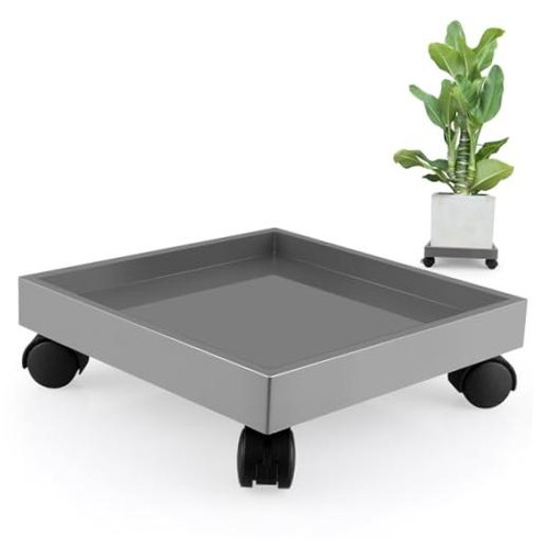 Plant caddy with wheels - plant, wheels,