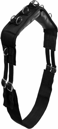 Lunging surcingle for - surcingle, |