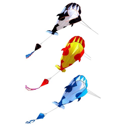 Soft kite with 30m - 30m, kites