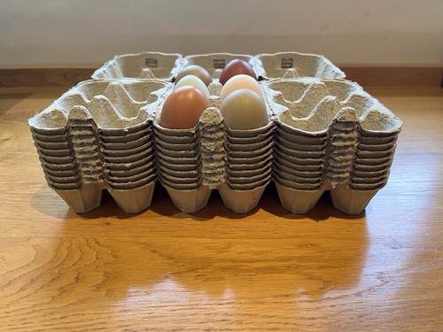 New half dozen grey - half, egg