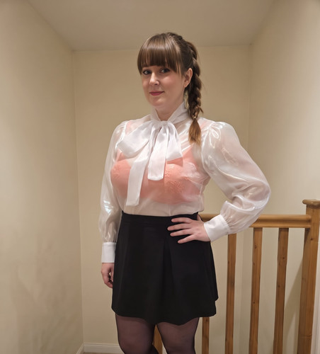 Sheer white organza - sheer,