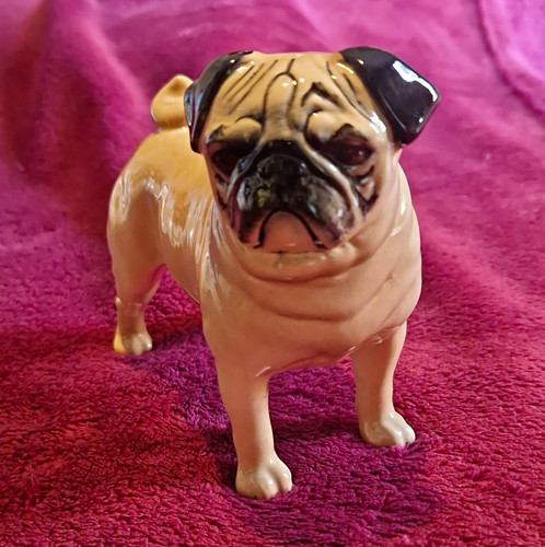 Beswick pug dog ceramic - beswick,
