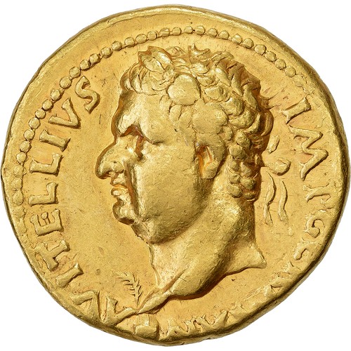 1021152 vitellius aureus - [#1021152], vitellius,