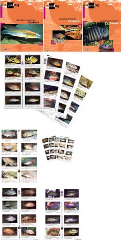 Aqualog south american - aqualog,,
