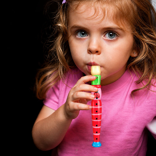 Kids wooden piccolo - wooden, flute