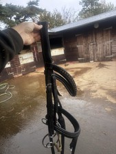 Black Rolled Flash Bridle