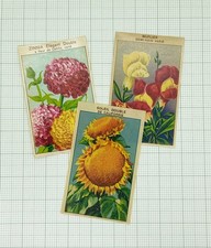 Vintage /New french flower seed packet labels x 3. lithographs 1920s made France
