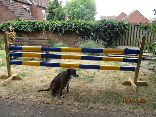 Equestrian horse jump pole - jump,