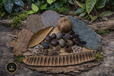 Pod Box Shrimp Fish Fry Snail