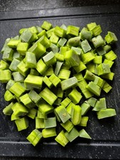 Opuntia Pad Prickly Pear Cut