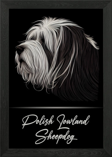Polish lowland sheepdog framed - polish,