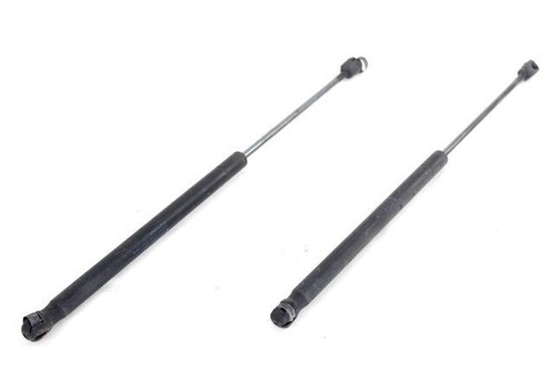 51247148902 pair pistons rods - pistons,