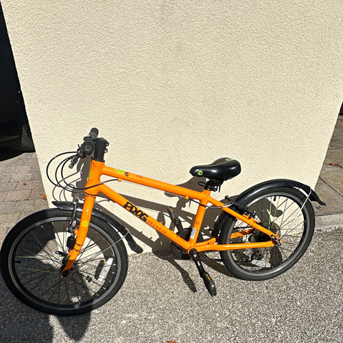 Frog kids bike - frog,