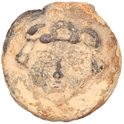 Large unresearched ancient - large,