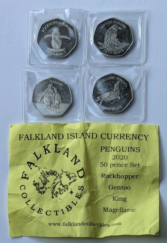 2020 falkland islands penguin - 2020,