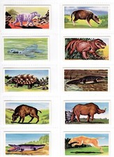 Prehistoric Animals Series 1
