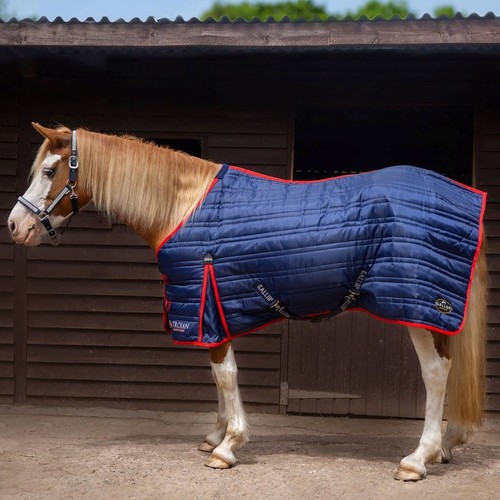 Gallop equestrian trojan - equestrian,