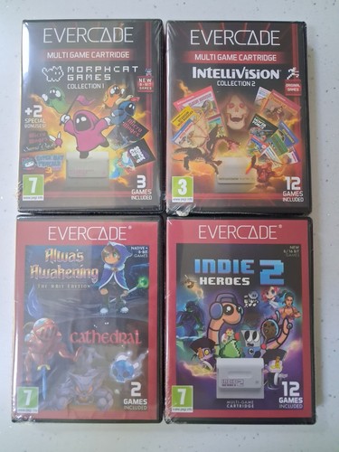 Evercade cartridge bundle - cartridge,