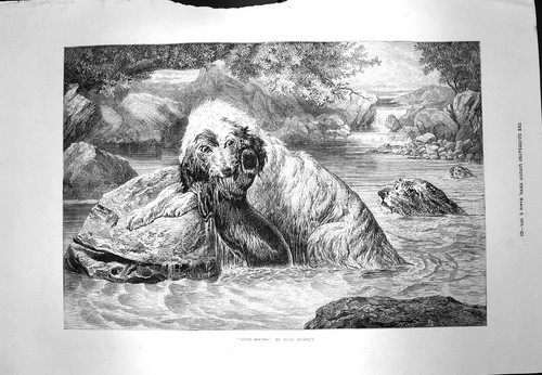 Original old antique print - original,