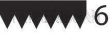 V-Ribbed Belt Black TRISCAN