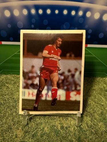 Daily mirror 1986 sticker - daily,