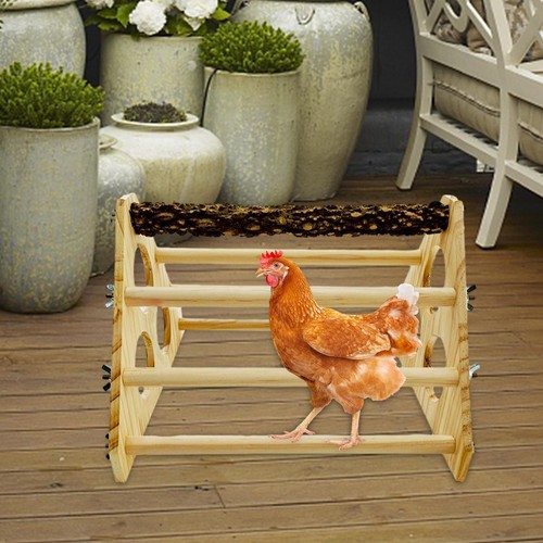 Chick perch hens - chick,