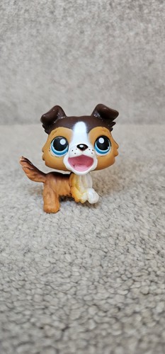 Littlest pet shop authentic - littlest,