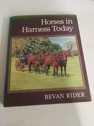 Horses harness today by - horses, in