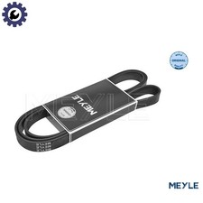 VRIBBED BELT 050 006 1905 FOR