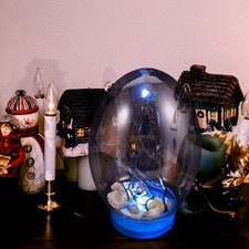  Mini Fish Tank Ecosystem