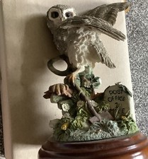 Country Artist 01221 Little Owl Bird