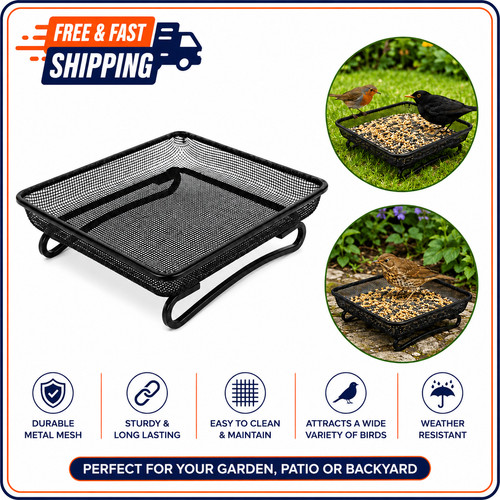 Square ground bird - square,