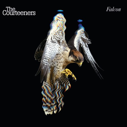 The courteeners falcon - falcon, (cd)