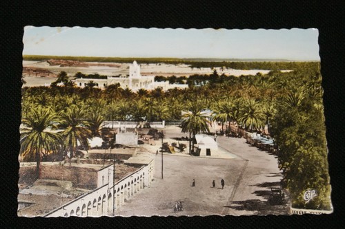 Algeria touggourt oasis view - algeria,