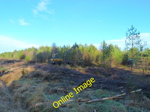 Photo 12x8 forestry - photo, operations