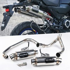 Dual exhaust system pipe tip - exhaust,