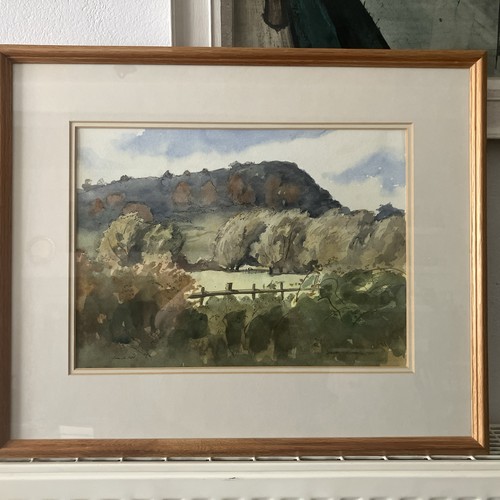 Large framed watercolour - , of