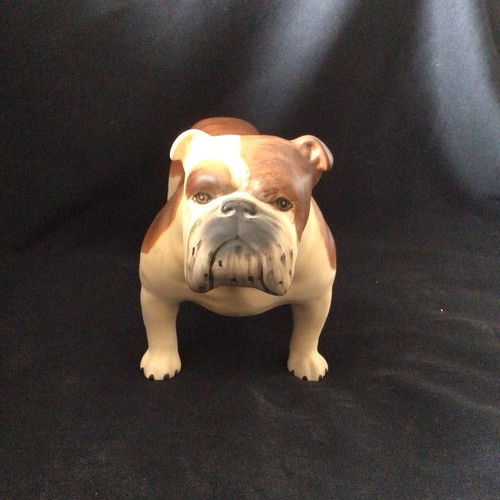 Beswick bulldog basford - beswick, ‘ch