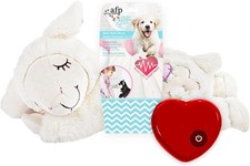 All for paws - paws, buddy