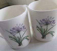 2 Mugs Royal Horticultural Society Collection. Floral Bone China.