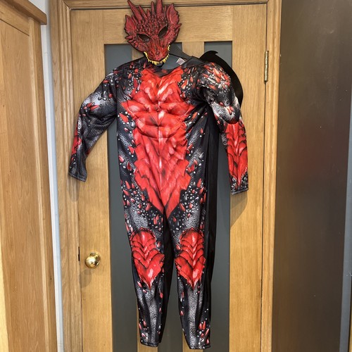 Boys dragon costume age 10 - dragon,