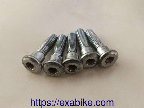Front disc mounting screws - screws, for