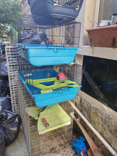 Wooden rabbit hutch - wooden, enclosure