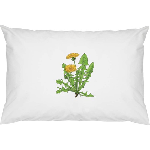 Dandelion yellow flowers - x,