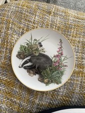 Badger Themed Collector's