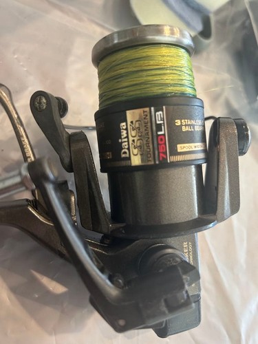 Daiwa whisker tournament - daiwa,