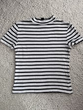 White And Black Stripy Turtle